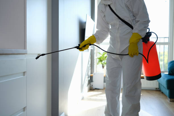 Professional Mold Removal in Northville, NY