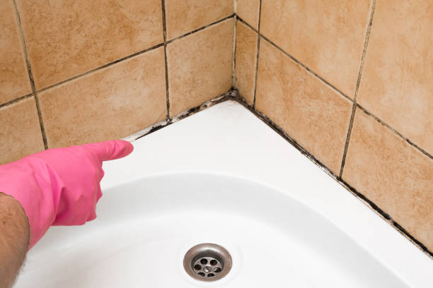 Best Office Mold Removal Services  in Northville, NY